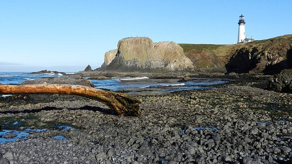 Yaquina Head