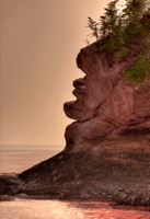 Old Man By The Sea