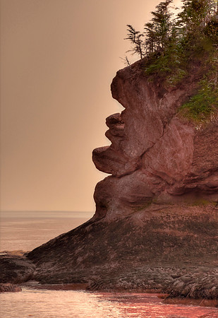 Old Man By The Sea