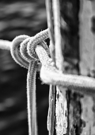 Knotted Up