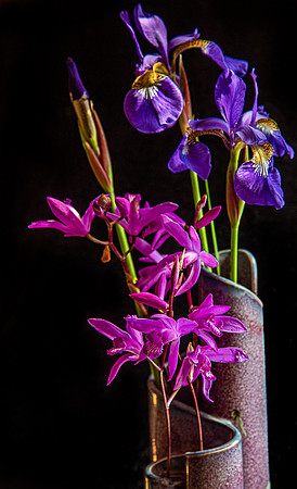 Pretty in Purple
