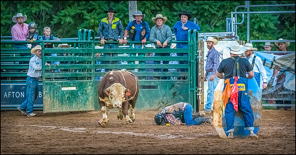 the agony of defeat