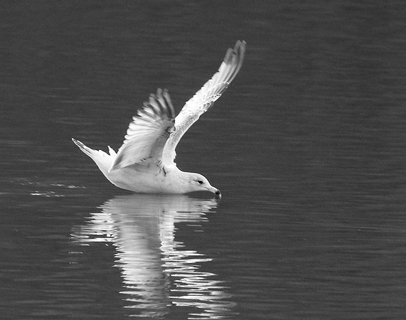 Soft Landing
