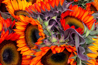 Cut Sunflowers
