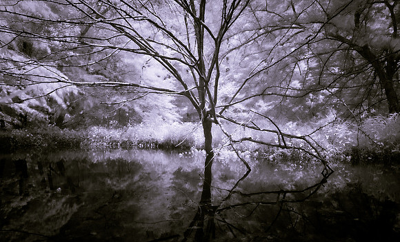 Reaching