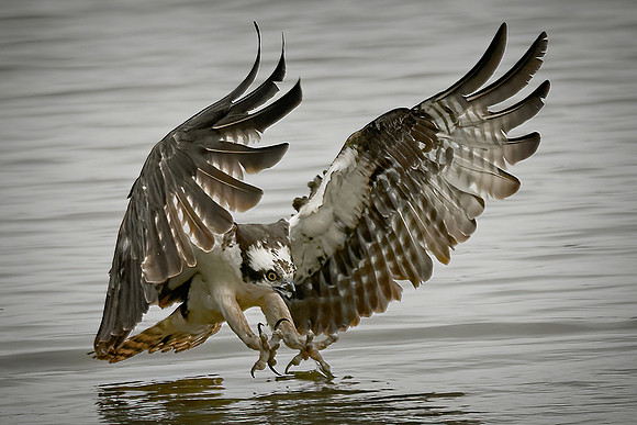 Attack