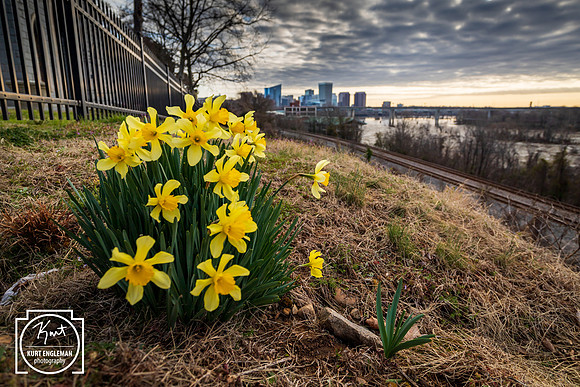 Skyline View