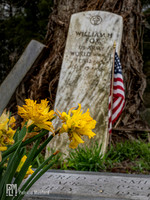 William Fox