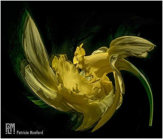 Tango