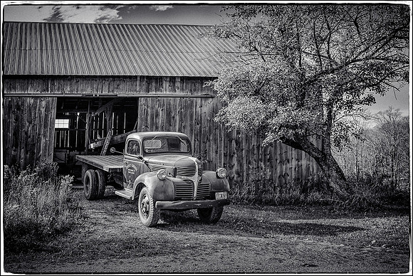 Steve's Garage