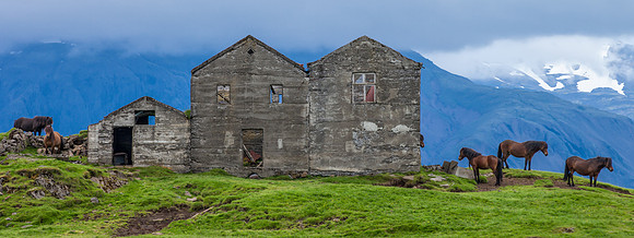 Horse Retreat