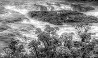 Flora and Falls