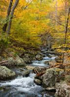 Falls in the Fall