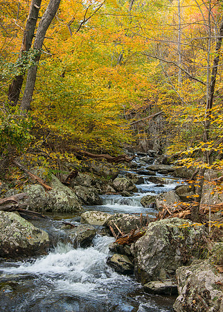 Falls in the Fall