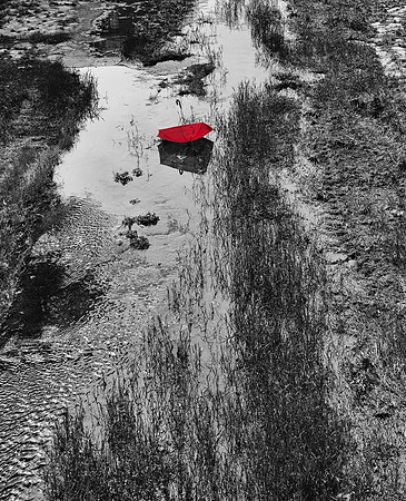 Lost Umbrella