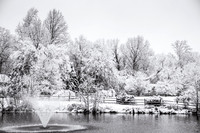 Early winter snow