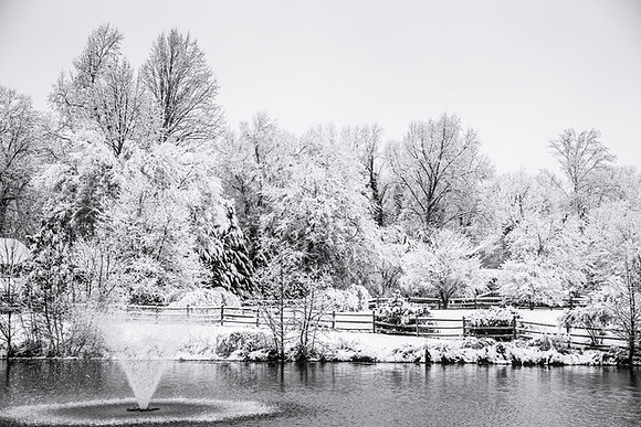 Early winter snow