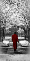 Crimson Coat in a Crystal Cathedral