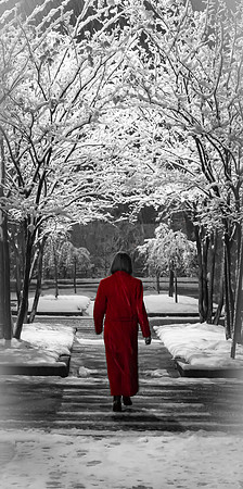 Crimson Coat in a Crystal Cathedral
