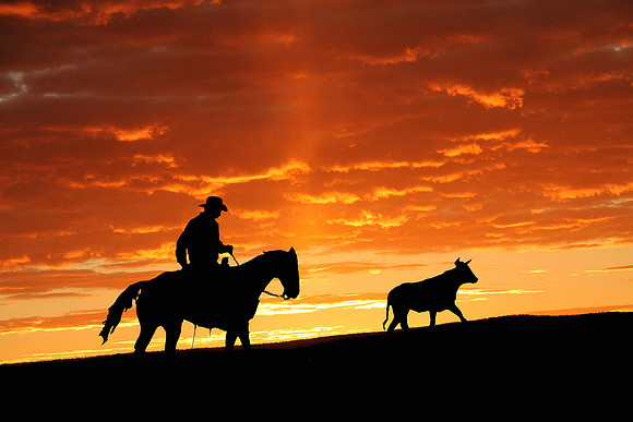 Cowboy at Sunset
