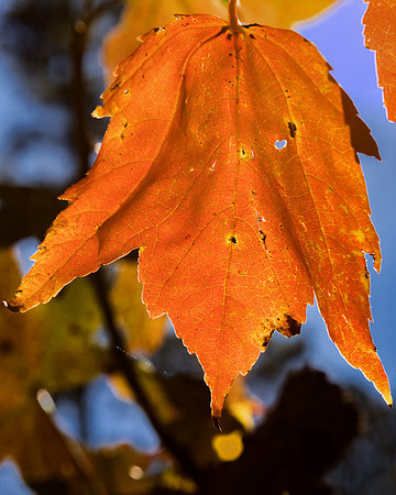 End of Fall