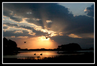 Assateague Sunrise