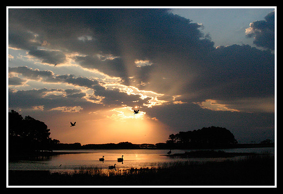 Assateague Sunrise