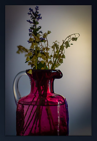 Through Rose-Colored Glass
