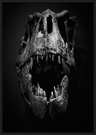 Roar