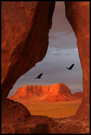 Teardrop View