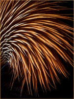 Avian Fireworks