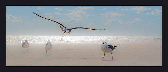 Cleared for Landing