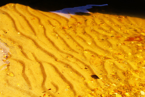 Sand Waves