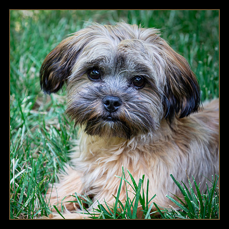 SIR Winston