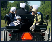 Buggy Ride