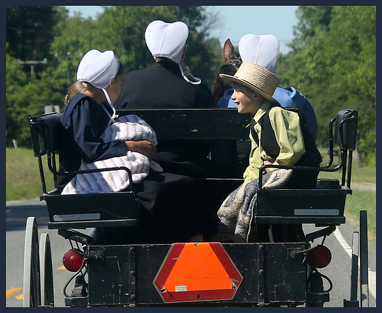 Buggy Ride