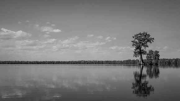 Lake Drummond Trio