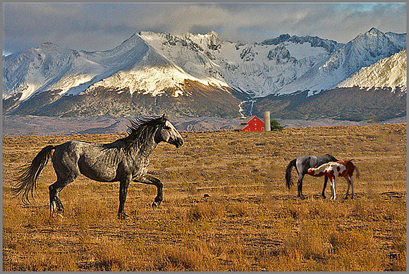 Open Range