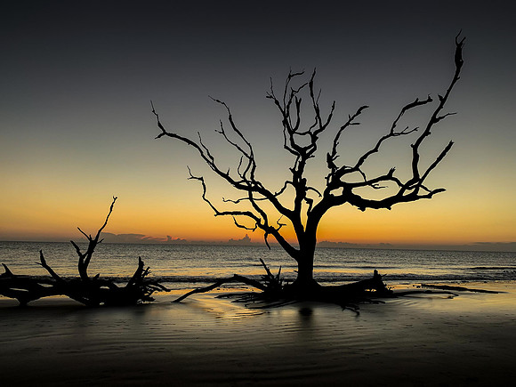 Driftwood Beach at sunrise