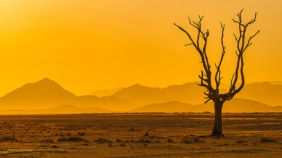 Namibian Strange Light