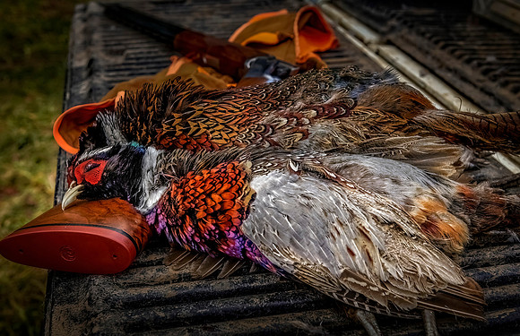 A Successful Hunt