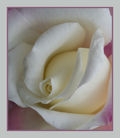 Touch of Pink