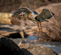 Final Approach