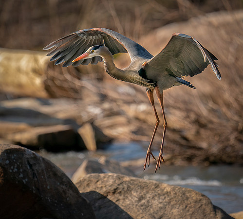 Final Approach