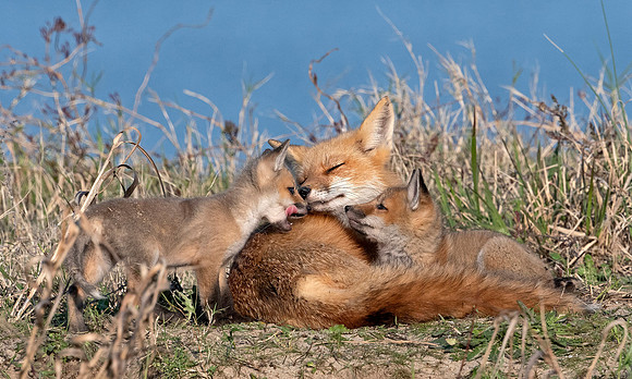 Family Time
