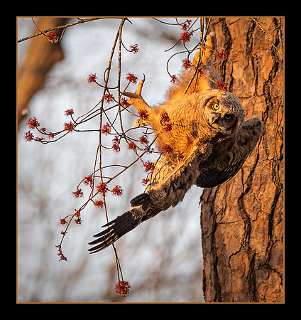 Saved by the Branch