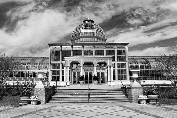 Lewis Ginter