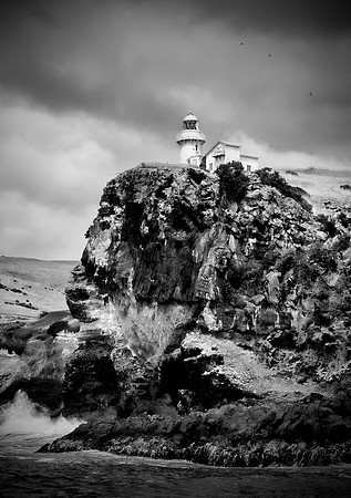 Taiaroa Head Lighthouse Dunedin NZ