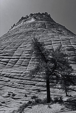 Near Zion