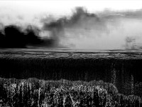 Apocalypse